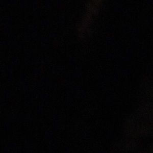 Meet your Posher, Park